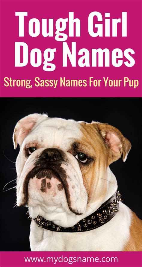 tuff dog names|tuff female dog names.